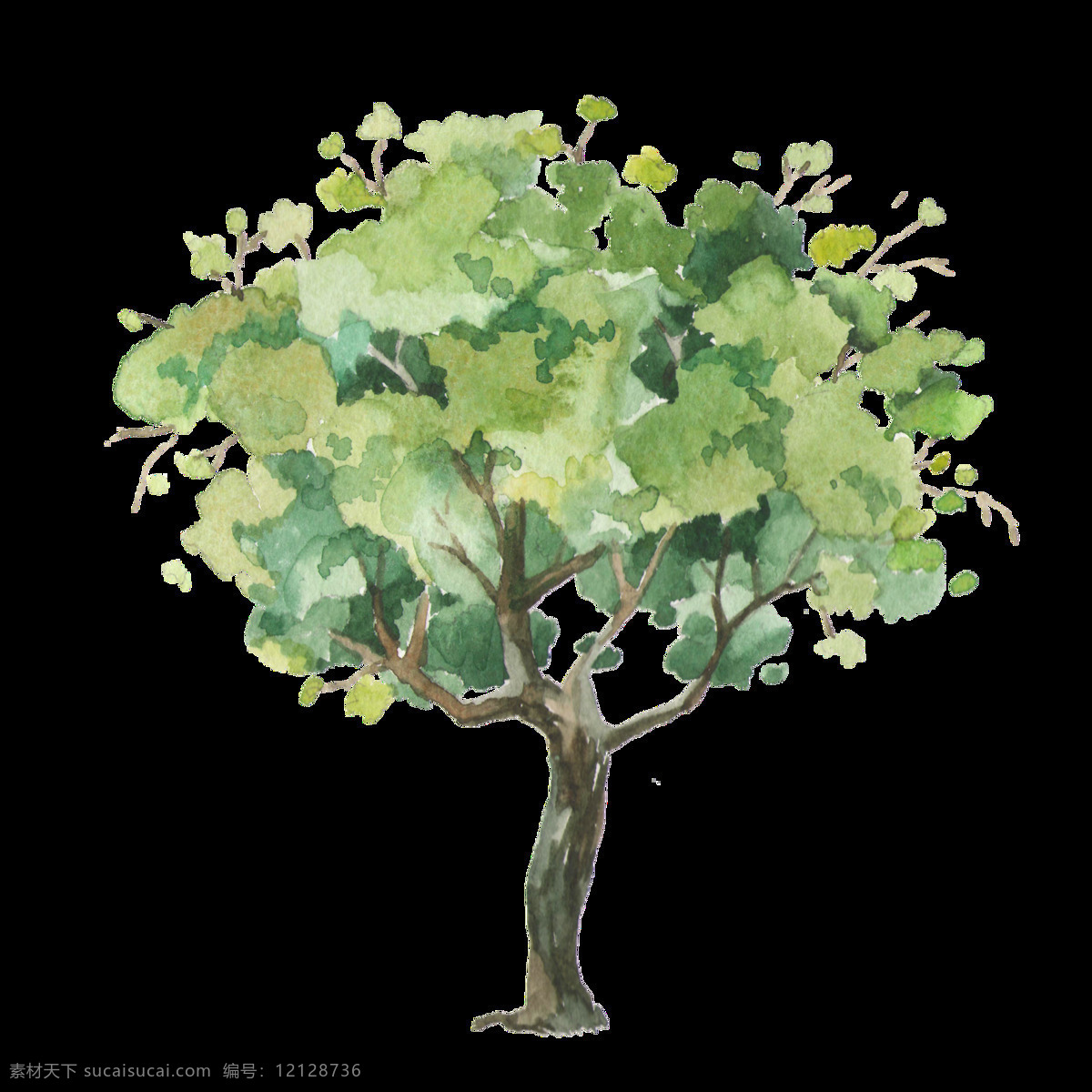 茂密 树木 装饰 图案 设计素材 png元素