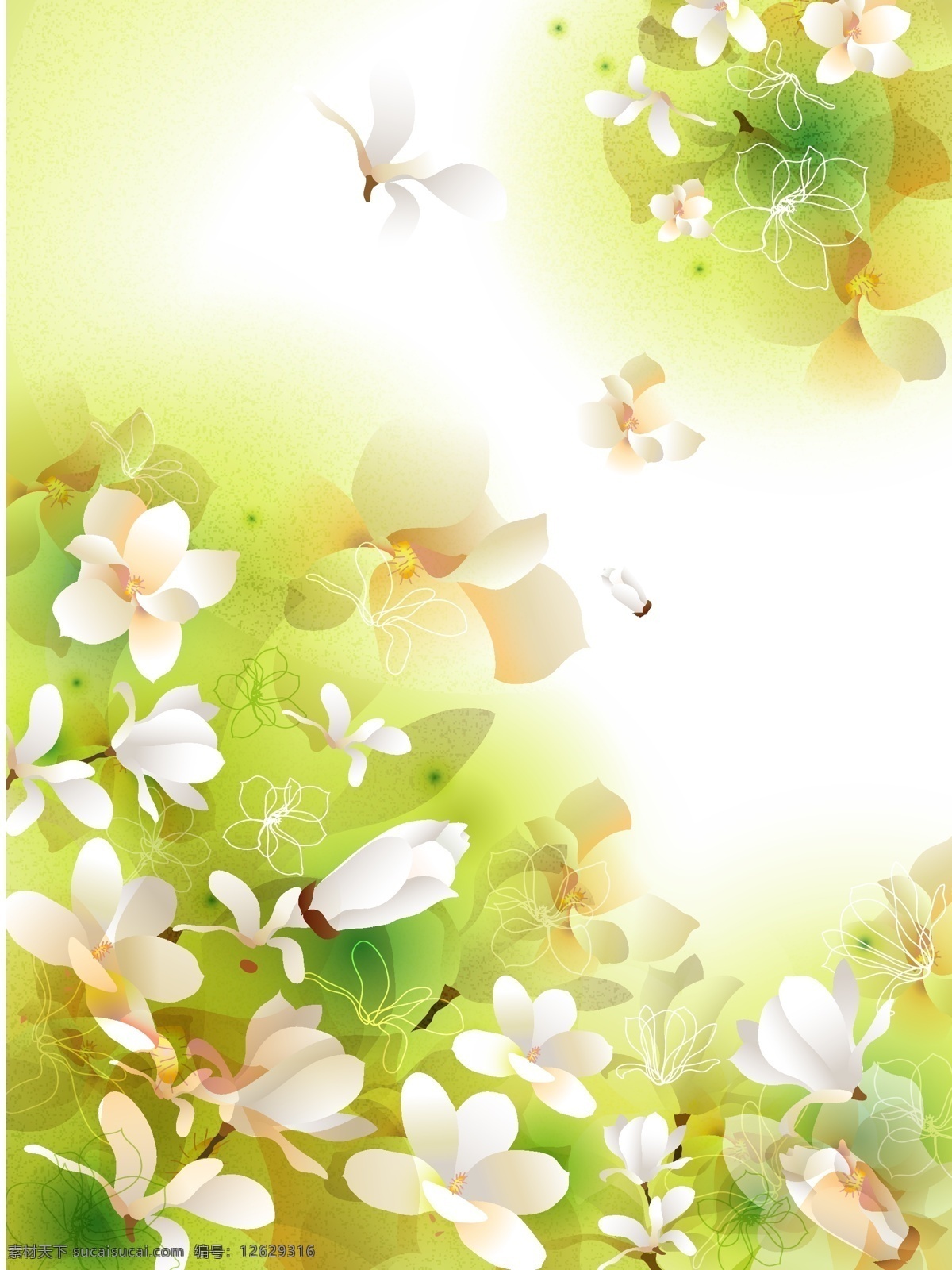 皱叶木兰 木兰花 花卉矢量图 设计素材 包装素材 时尚花纹 生物世界 花草