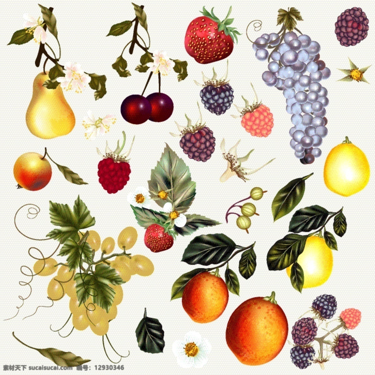 手绘水果系列 采购产品食品 手 油漆 水果 颜色 草莓 柠檬 葡萄 手绘 收藏 梨 套装 浆果 彩色 彩绘 有色