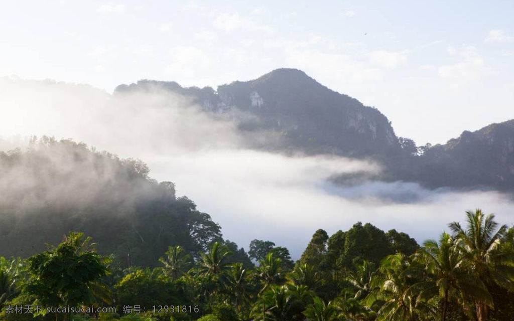 树林 山脉 中 雾气 慢慢 飘舞 美丽 天然 氧气 旅游 视频 迷雾 旅游圣地 延时 高清 实拍