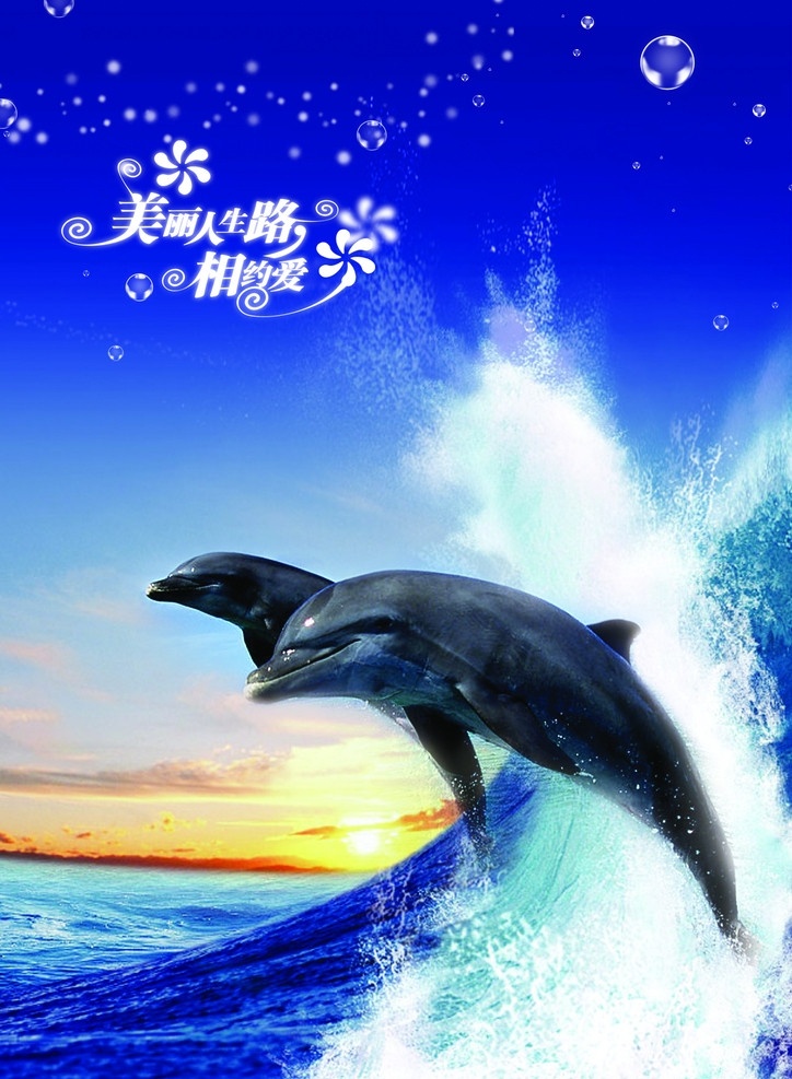 海豚表演 海豚 大海海豚 激情澎湃 浪花 大海浪花 海豚嬉戏 源文件