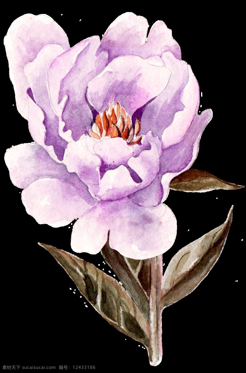 淡雅 淡紫色 高贵 免扣素材 水彩 透明素材 叶子 装饰图案 紫色 牡丹花 透明