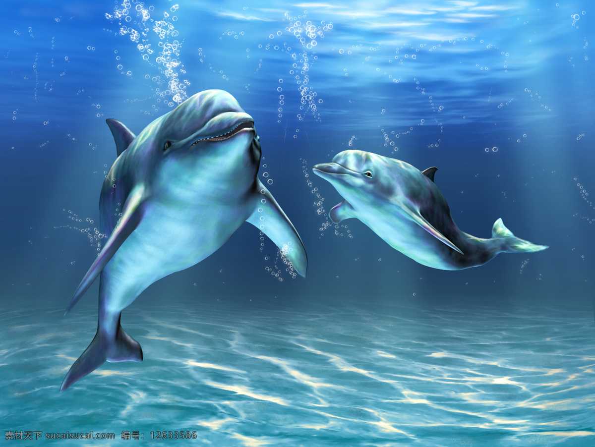 海豚 海底世界 海鱼 海水 深海 海底 水族 鱼类 鱼群 海洋生物 生物世界 摄影图 高清图片 水中生物