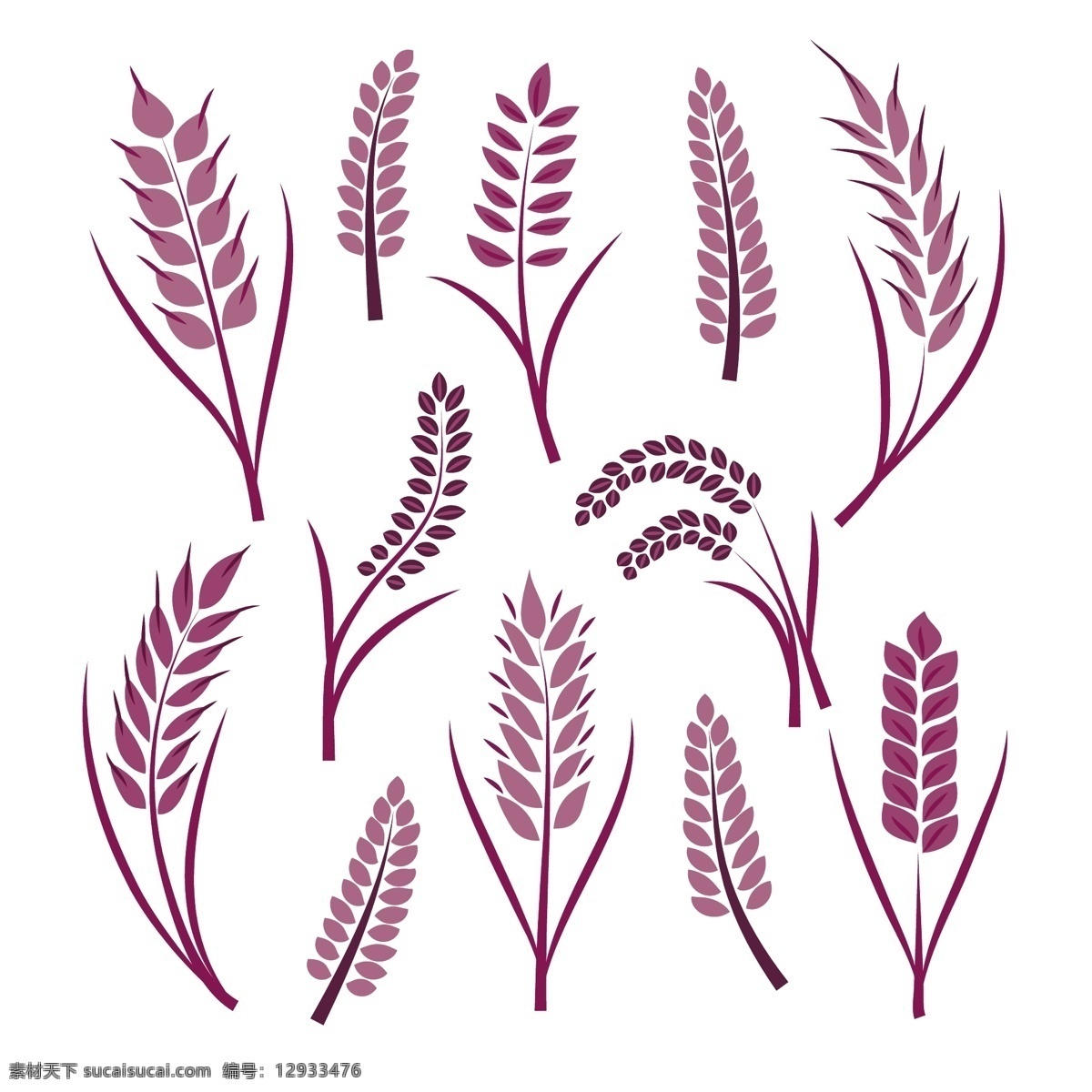 各种 紫色 卡通 小麦 合集 矢量图 麦穗 简约 五谷 金色麦穗 手绘麦子 小麦合集 插画元素 小麦矢量图 大麦 矢量插画 小麦图标 庄稼 设计元素