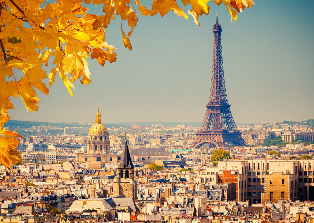 秋天 树叶 巴黎 风景 梧桐树 巴黎风景 埃菲尔铁塔 繁华都市 秋天城 市风景 秋季美景 美丽景色 风景摄影 自然风景 自然景观 黄色