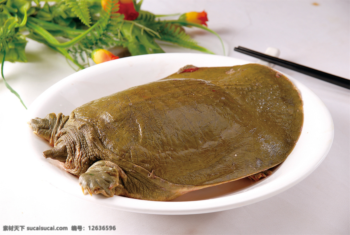 江甲鱼 美食 传统美食 餐饮美食 高清菜谱用图