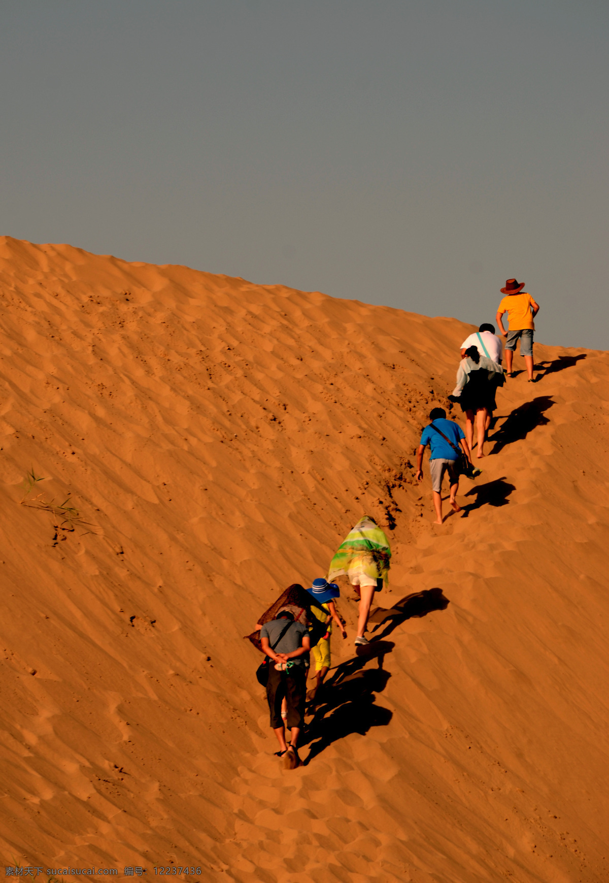 穿越沙漠 滚烫的沙漠 银川沙湖 沙漠旅客 跋涉 自然风景 自然景观