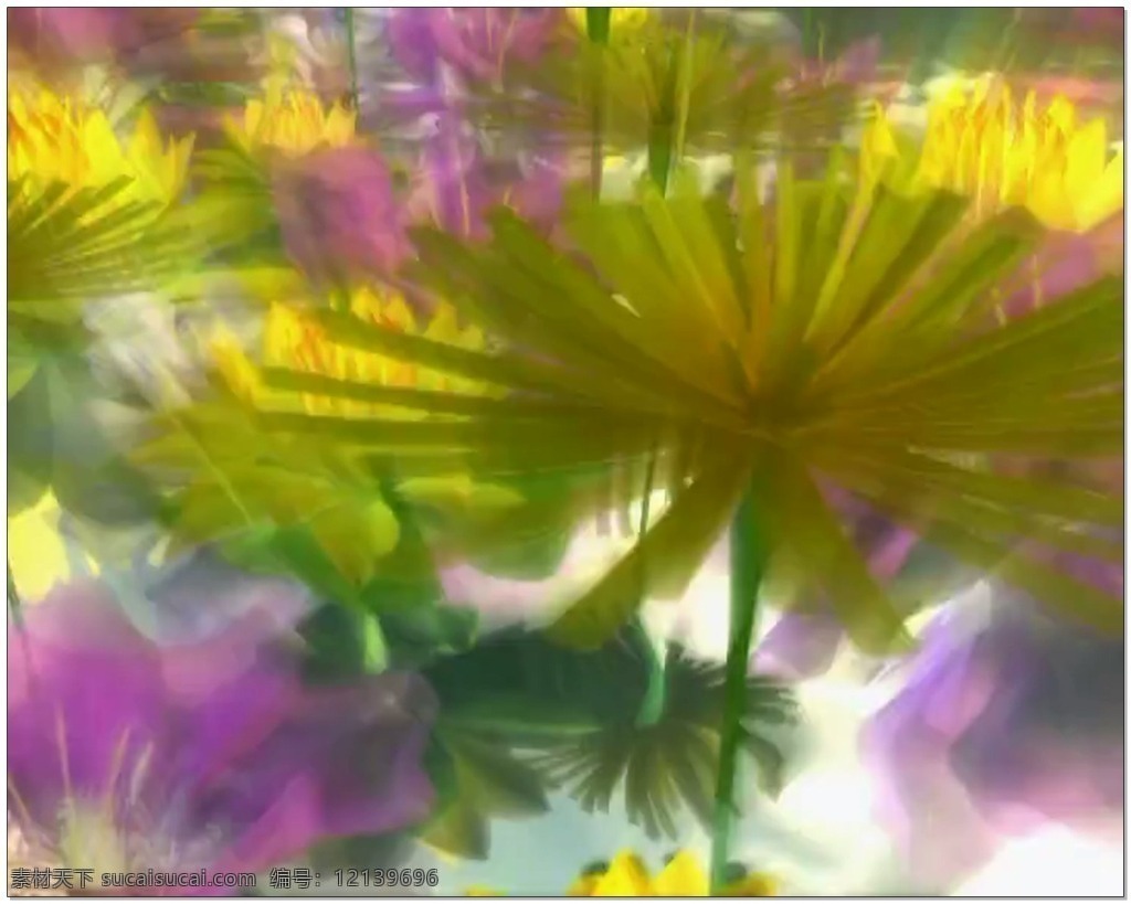 绘画 花朵 视频 高清视频素材 视频素材 动态视频素材 艺术
