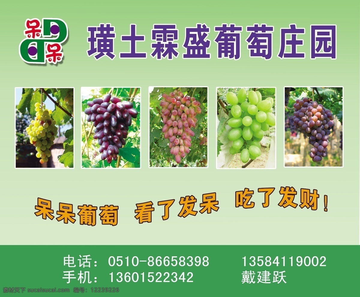 葡萄 招牌 分层 葡萄背景 葡萄广告 源文件 葡萄招牌 葡萄灯布 葡萄喷绘 装饰素材 灯饰素材