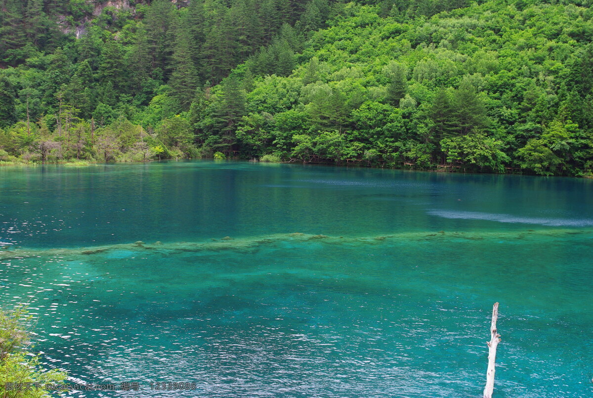 九寨沟 水 湖泊 美景 风景 自然景观 山水风景