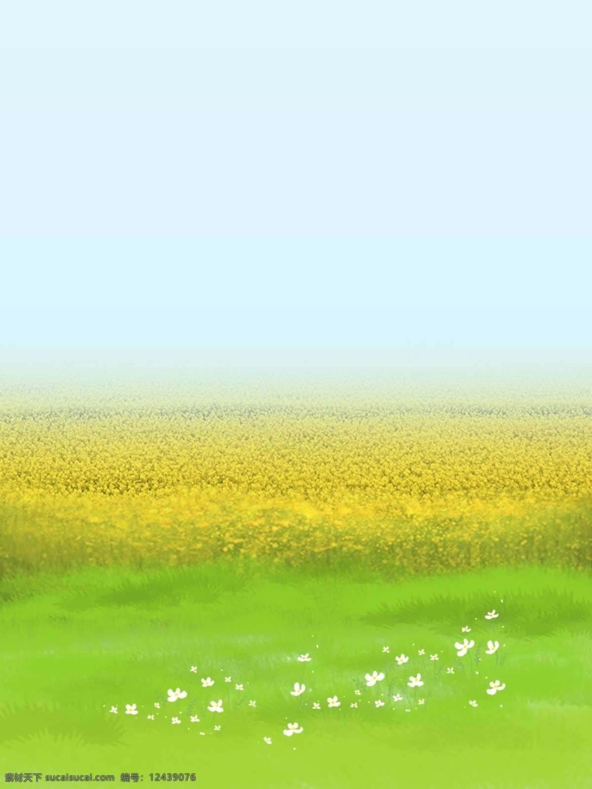 彩绘 夏季 花海 背景 花田 踏青 夏天背景 夏至背景 花朵 草丛 通用背景 背景展板 背景展板图 背景图