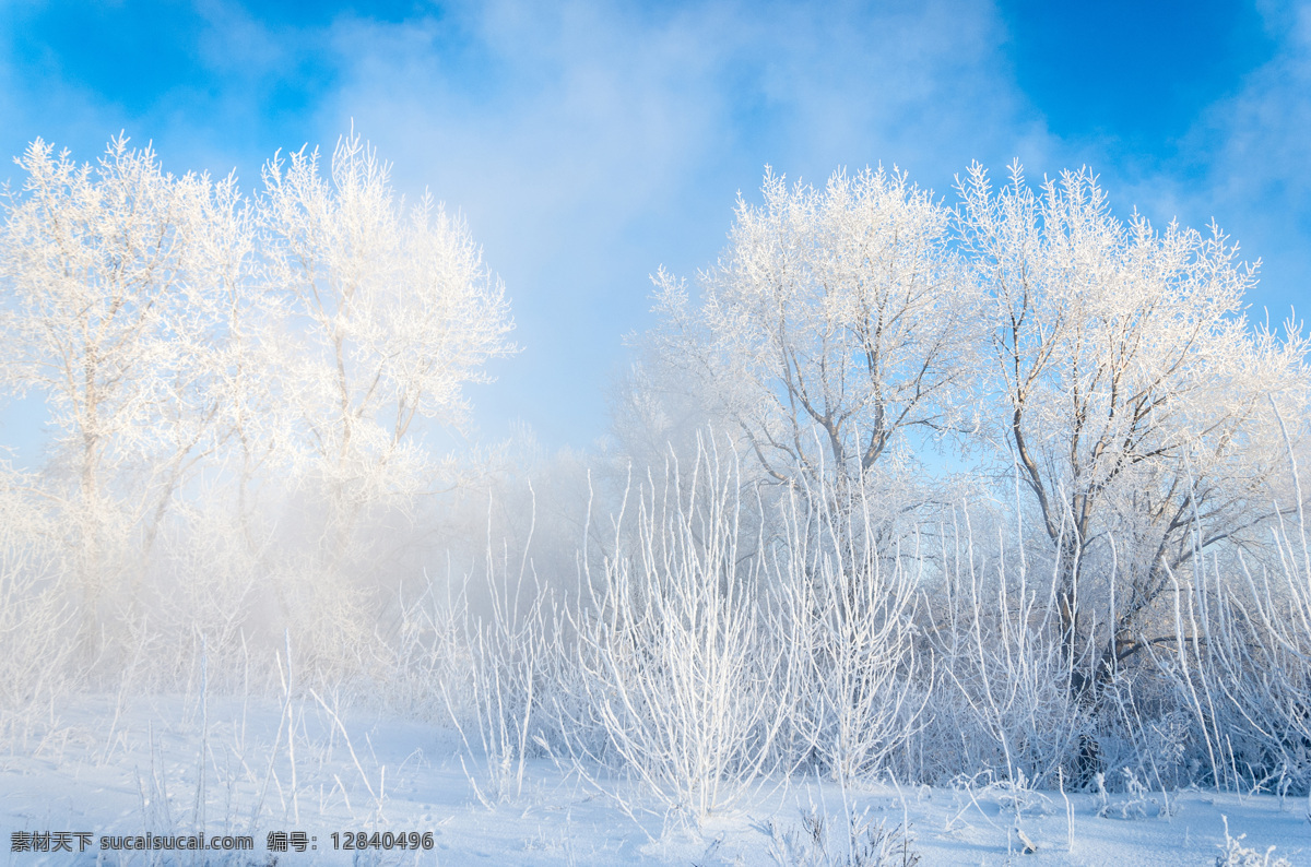 美丽 冬天 树木 雪地 风景 树木风景 树林雪景 雪地风景 美丽雪景 冬天雪景 冬季美景 风景摄影 自然风景 自然景观 白色