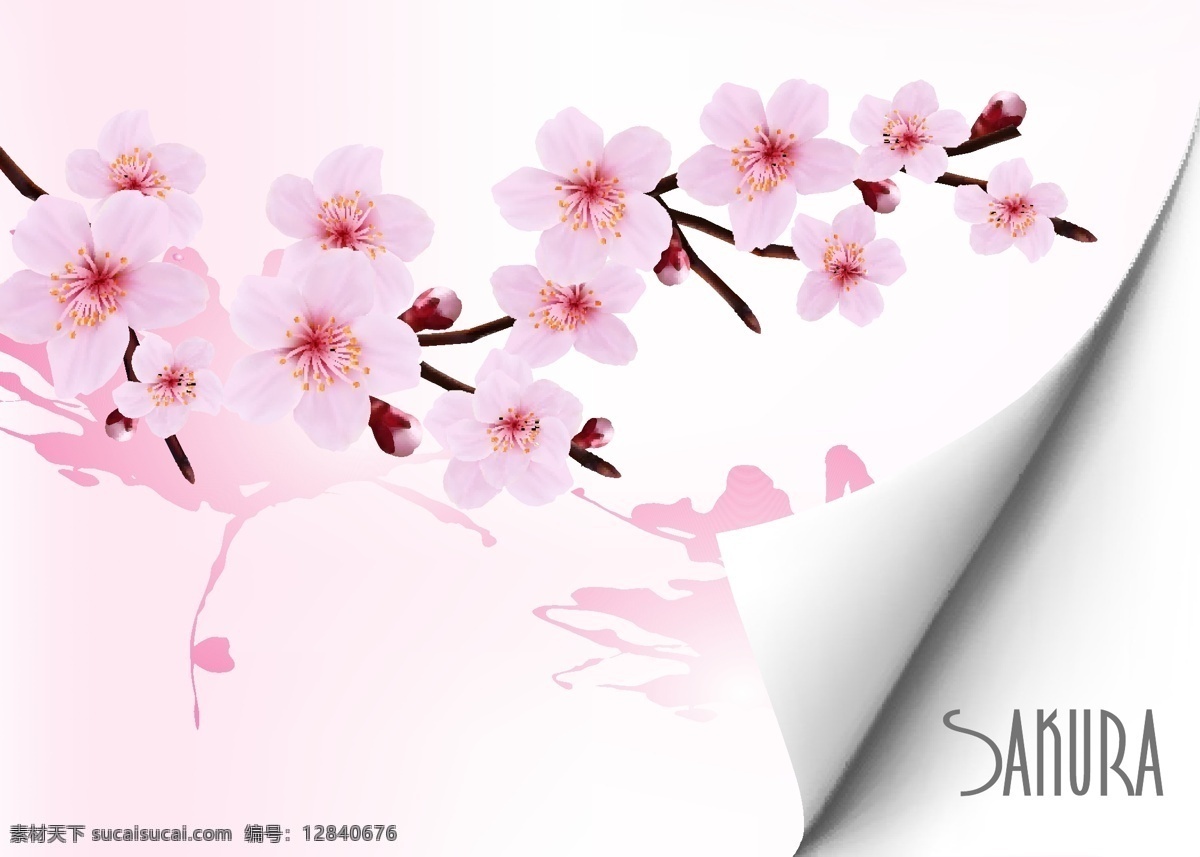 春天 粉红色 花朵 背景 矢量 图形 psd花 背景矢量 弹簧 粉红 花 矢量背景 其他矢量图