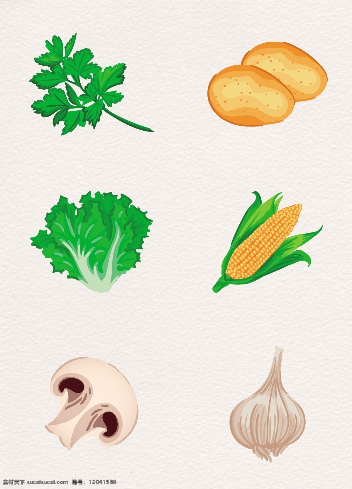 彩绘 蔬菜 瓜果 矢量 香菇 商业插画 卡通 土豆 玉米 西兰花 手绘 香菜 洋葱 生菜