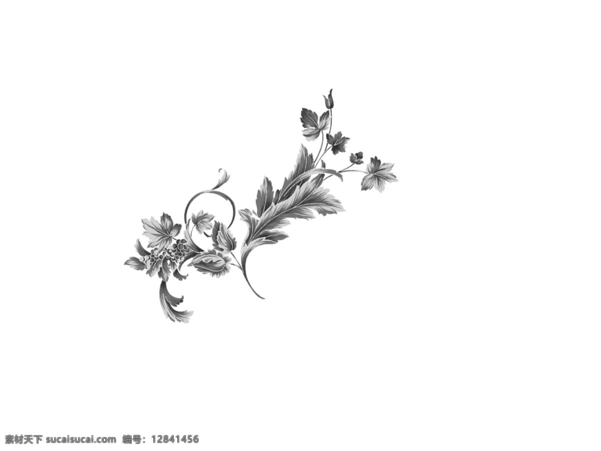 花朵免费下载 水彩画 花纹 花朵 图案 插画 配色 白色