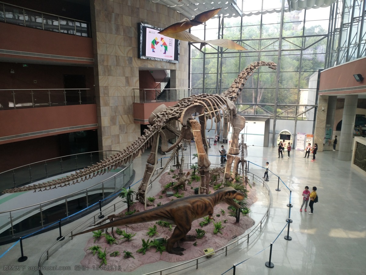 恐龙 博物馆 模型 广东 河源 恐龙博物馆 恐龙蛋 化石 考古 旅游 欣赏 科普 史前生物 历史 客家 旅游摄影 自然风景