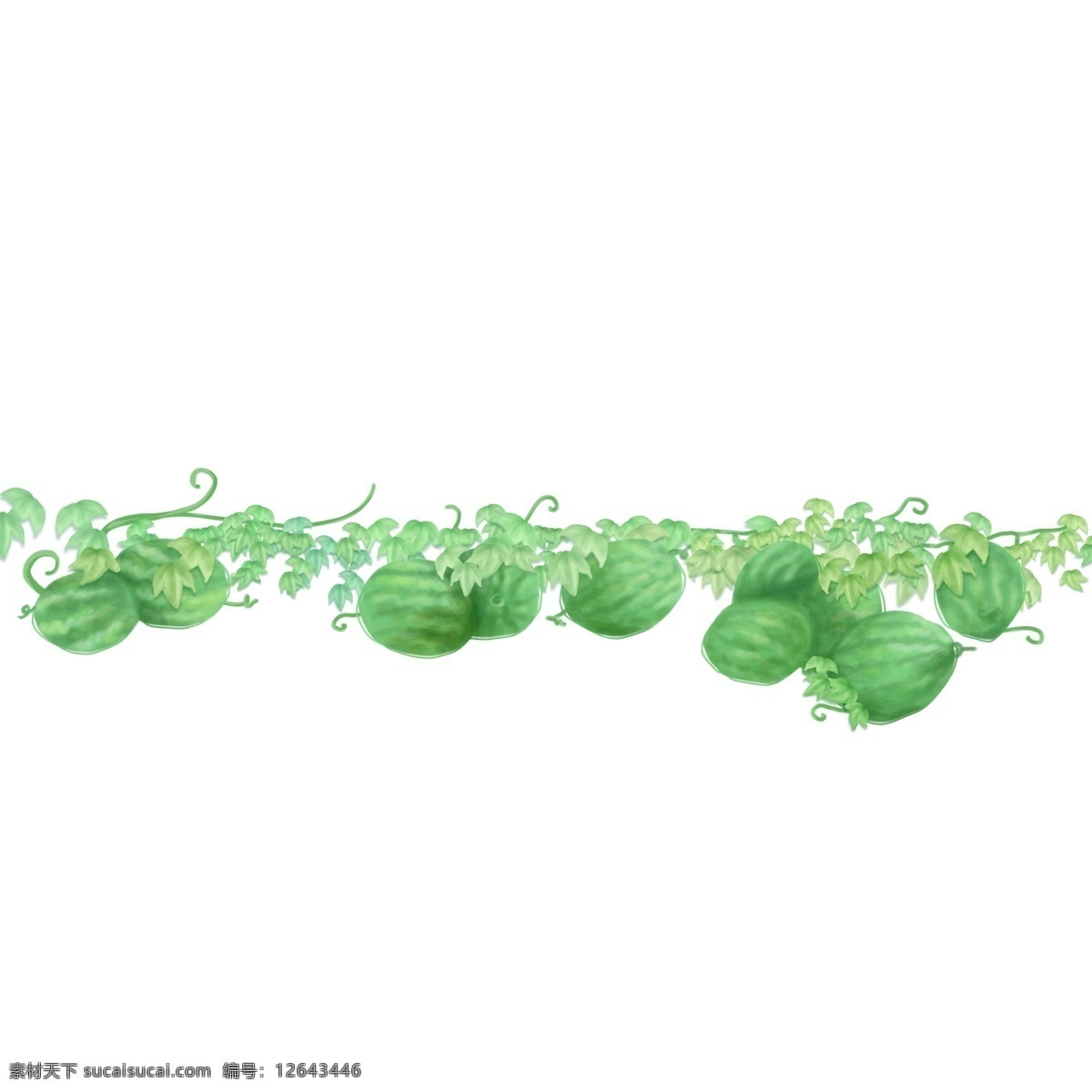 夏天 夏季 西瓜 手绘 插画 西瓜地 食物 水果 清凉 绿色 吃 叶子 藤 植物 卡通
