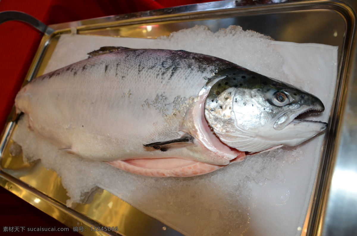 三文鱼 餐饮美食 美食 挪威 食物原料 鱼类 生鱼片 生物世界