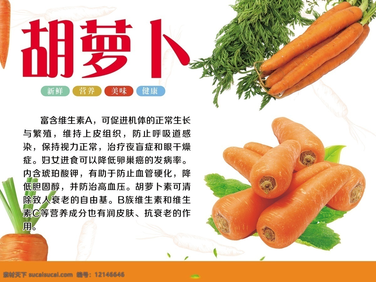 胡萝卜海报 胡萝卜展板 胡萝卜的好处 胡萝卜介绍