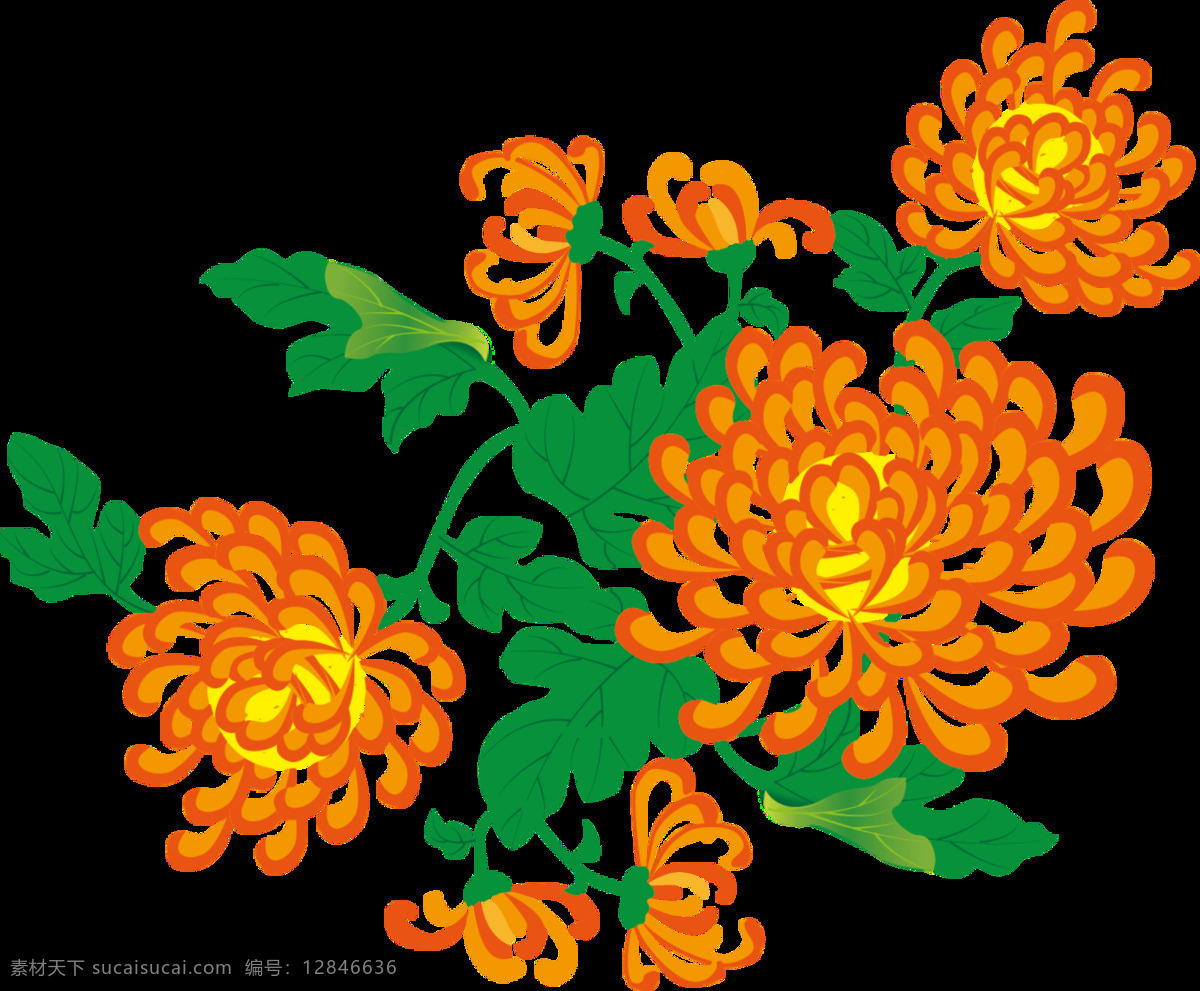 简约 橙色 花朵 手绘 菊花 装饰 元素 黄色花蕊 绿色叶子 清新 植物 装饰元素