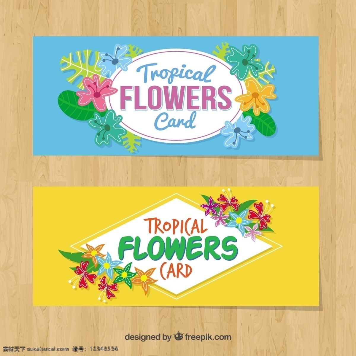 五颜六色 鲜花 卡片 花卉 请柬 自然 树叶 热带 植物 贺卡 棕榈 开花 美丽 热带花卉 野生 花卉卡片