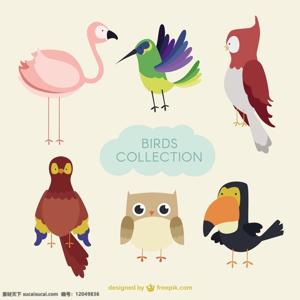 平鸟集 鸟 自然 动物 翅膀 羽毛 鸟类 丛林 动物园 野生动物 收藏 白色