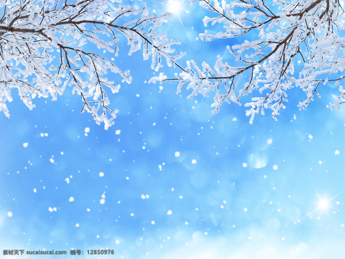冬天 雪 树枝 雪花 天空 背景 背景图片