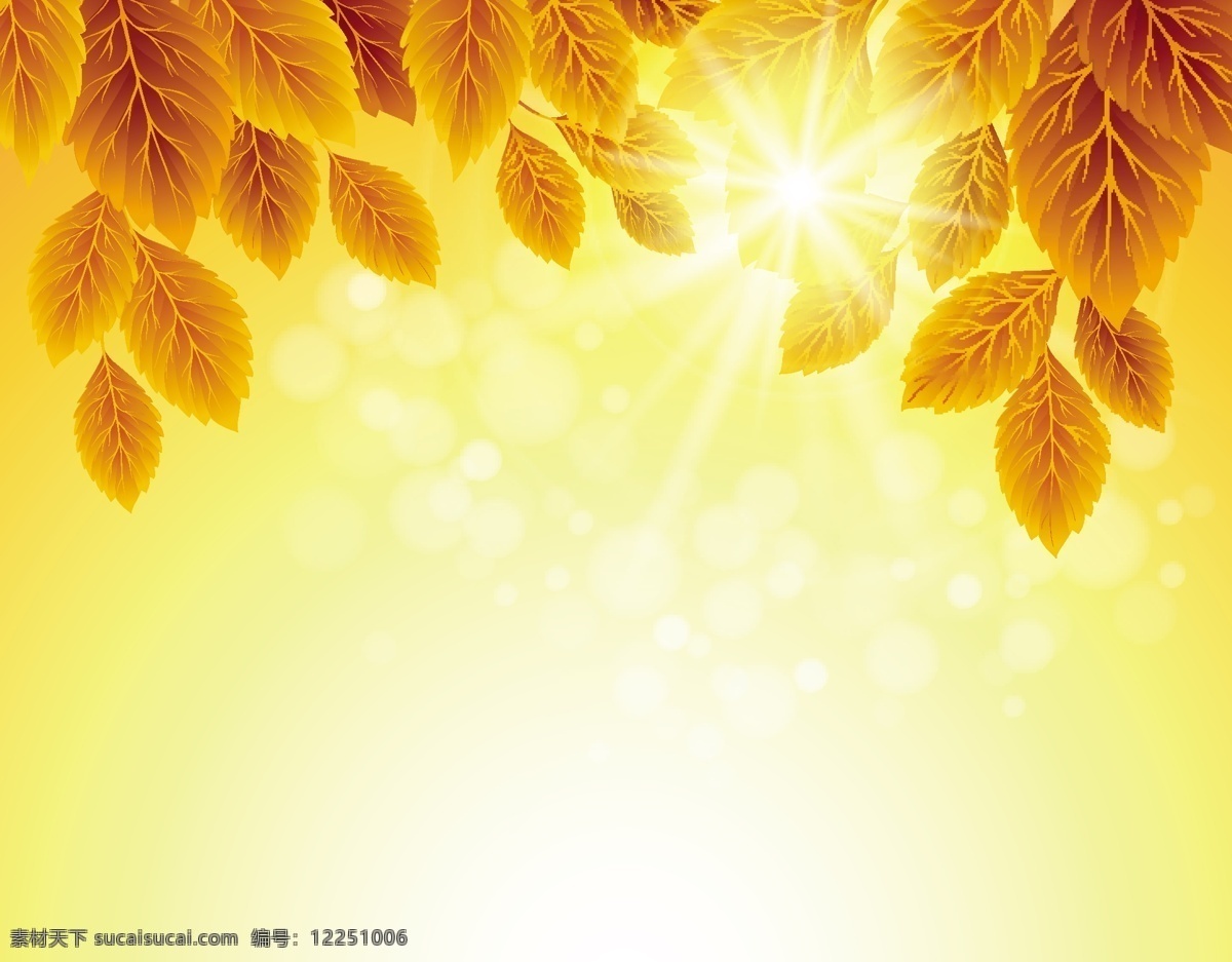 金黄 树叶 秋天 创意背景 枫叶 金黄树叶 免费 背景 矢量 秋天背景 阳光 成熟麦穗 矢量图 花纹花边