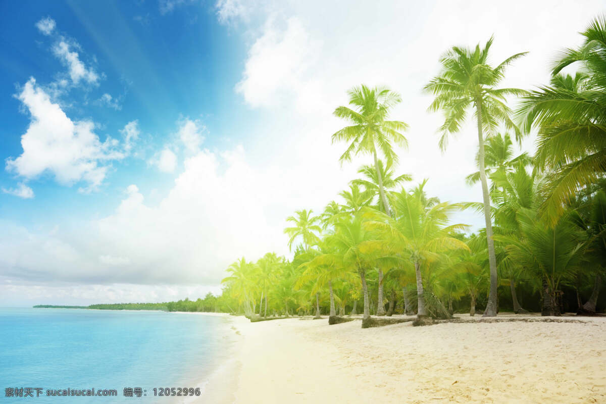 沙滩风光 海南风光 海边沙滩 椰树林 大海 光线 蓝天