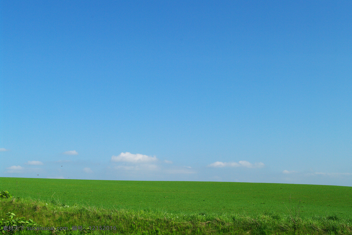 草原天空 草原 绿地 天空 蓝天 风景 壁纸 自然景观 自然风景