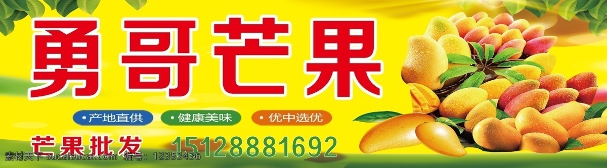 芒果海报 黄色 芒果喷绘 芒果批发零售 时尚 分层