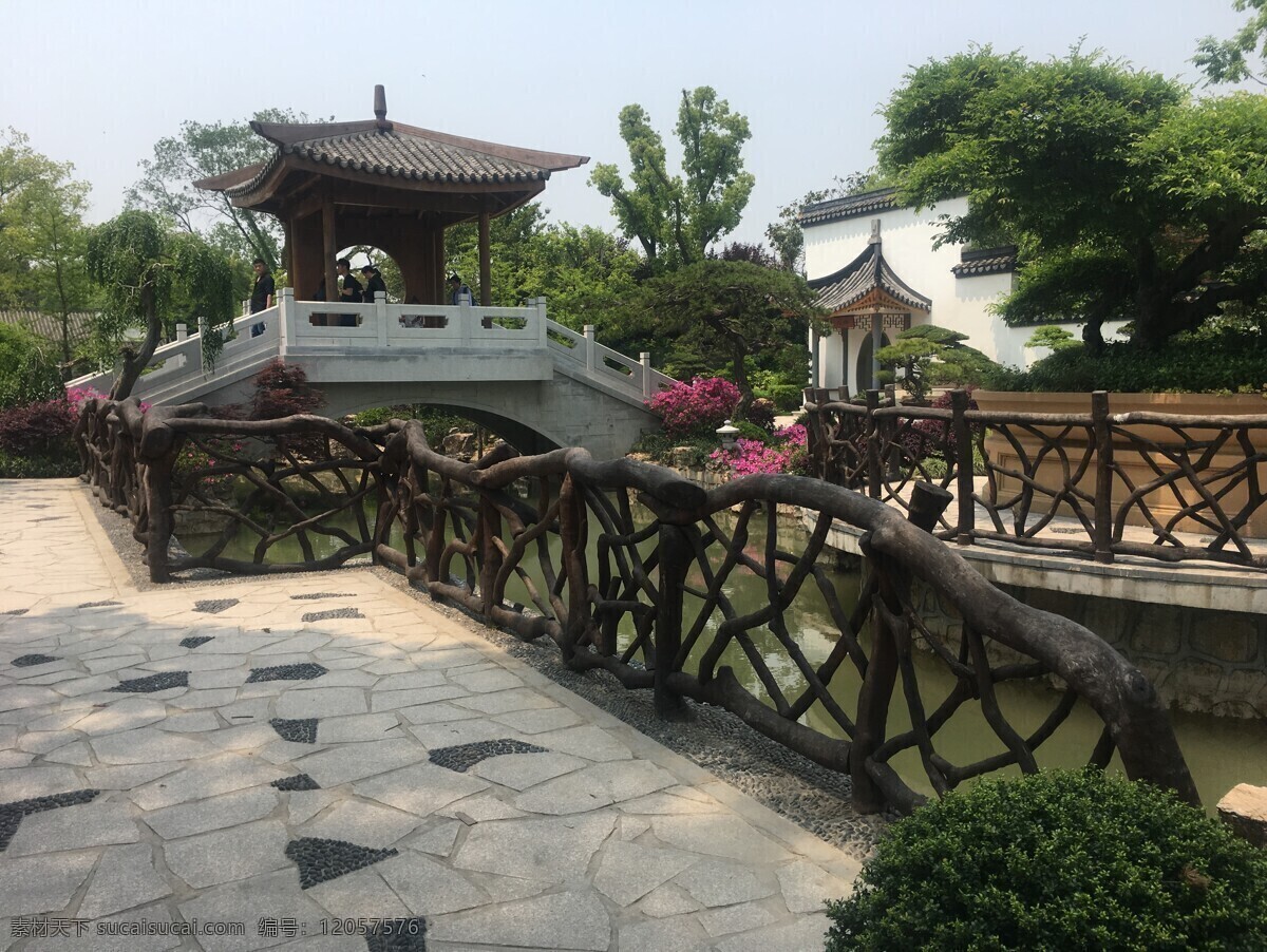 公园景观 上海植物园 中式 园林 景观 绿化 铺装 建筑园林 园林建筑