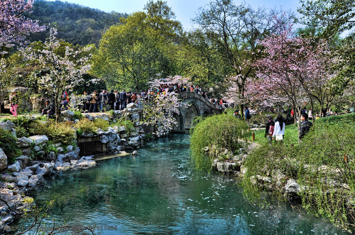 春光 春季 春色 春天 国内旅游 河畔 湖面 花开 太子湾公园 溪流 流水 山水 繁花锦束 园林 园艺 杭州西湖 太子湾 公园 花展 旅游摄影 psd源文件