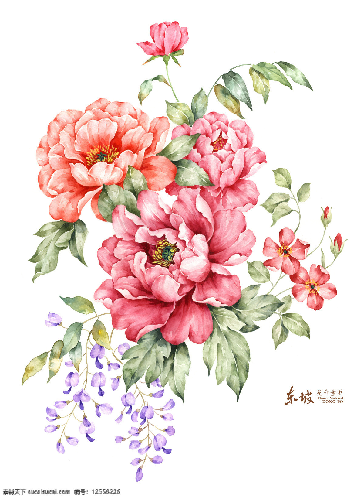 手绘花卉 花纹 花卉 水彩 手绘 玫瑰 绘画书法 文化艺术