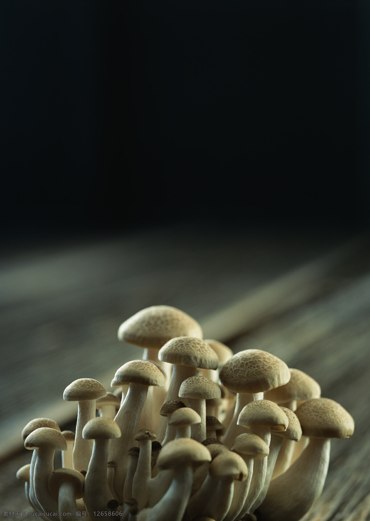 新鲜 蘑菇 新鲜蔬菜 菌 摄影图 高清图片 蘑菇图片 餐饮美食