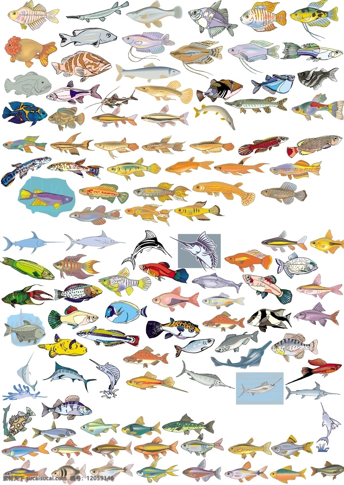 各种鱼矢量图 各种鱼矢量 鱼矢量图 鱼图 各种鱼 鱼