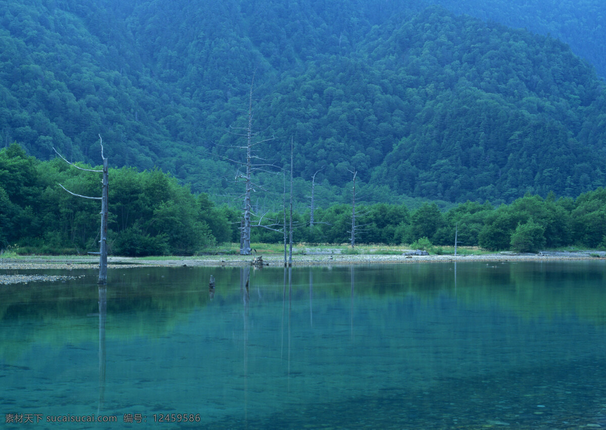 晨雾 村庄 风景 风景背景 风景画 河流 湖泊 湖景 湖面 湖畔 山 山水风景 山峰 山水背景 山水风光 山坡 绿色背景 绿叶 绿草地 绿树 树木 树木大树 山林 森林 森林风景 森林公园 森林背景 景色 山景 秋天风景 自然风景 自然风光 自然景色 雾气 雾中的山 梯田 湖水风景 蓝天白云 花纹背景 花瓣 花草 花卉 花藤 蓝天草地 蓝天大海 野外 野外风景 夕阳风景 溪水 山脉 家居装饰素材 山水风景画