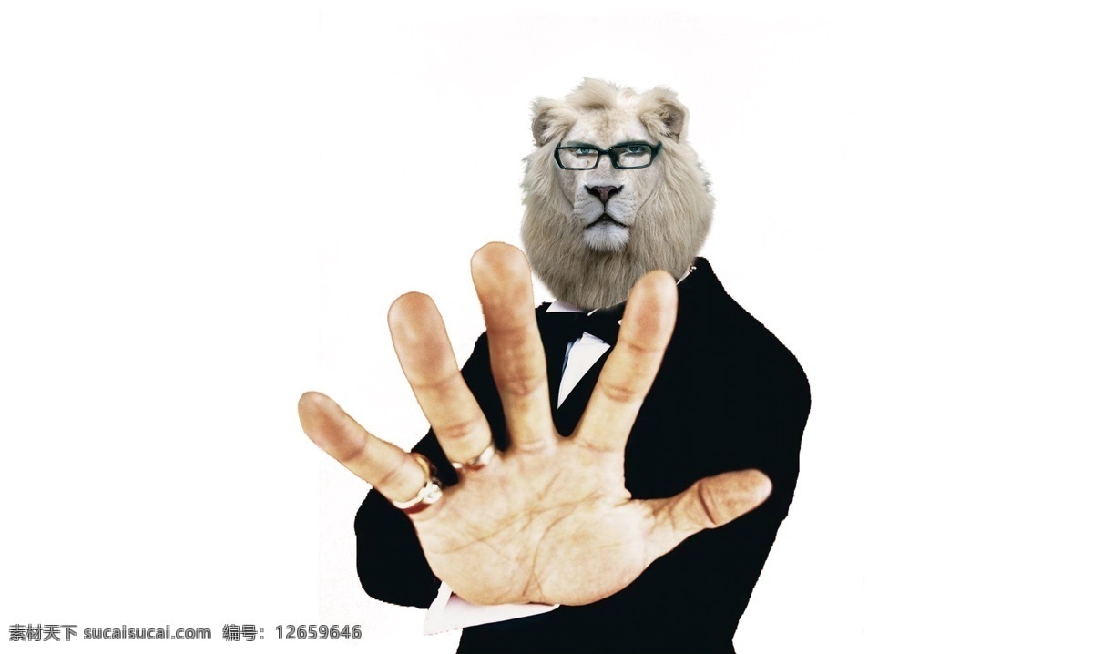 西装狮子人 拟人 戴眼镜的狮子 西装 白色