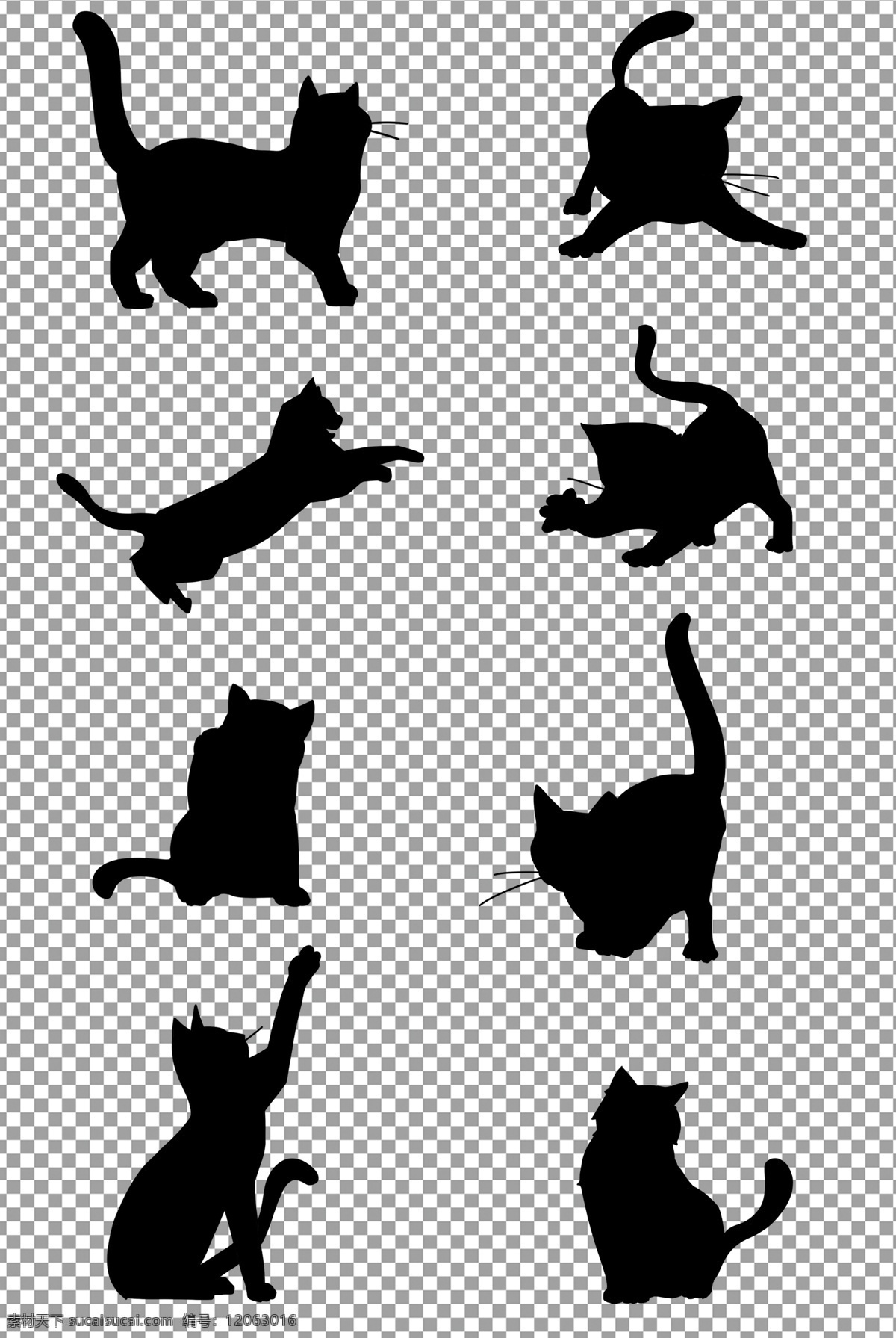 黑猫剪影 黑猫 剪影 轮廓 手绘 卡通 猫咪 免抠 无背景 免抠图 抠图 元素 透明 通道 png免抠图 分层