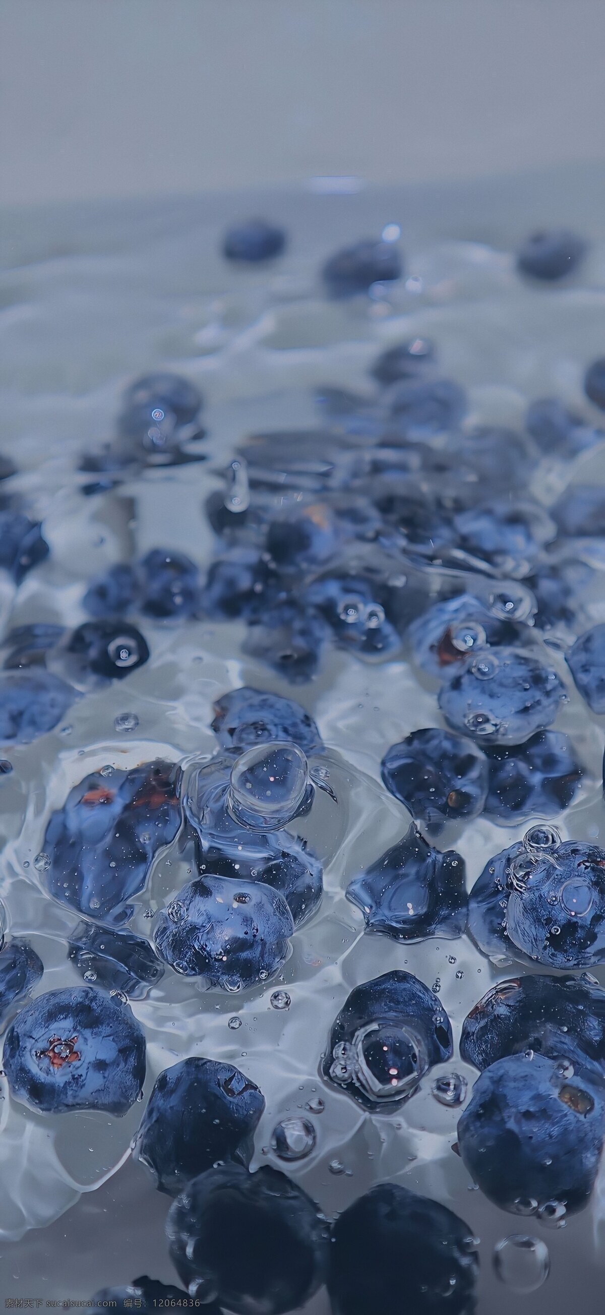 蓝莓图片 蓝莓 食品 水果 流水 效果 餐饮美食