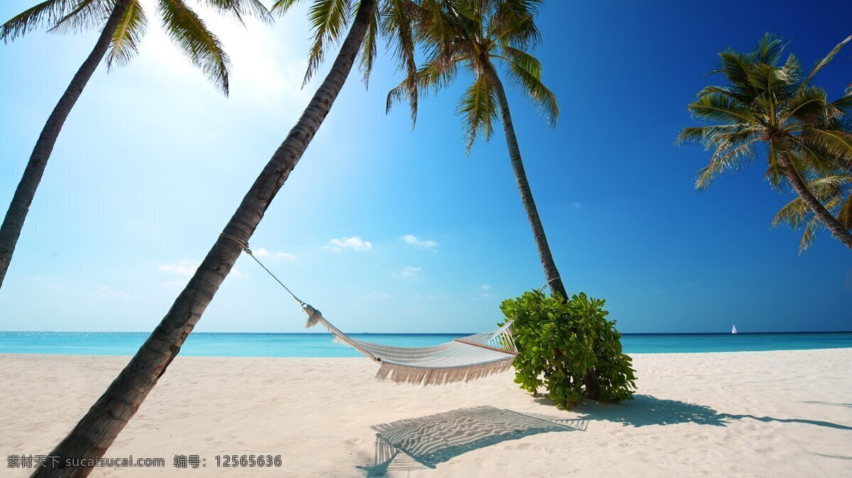 海边 沙滩 椰子树 晴朗 蓝天 白云 风景 海水 旅游 旅游摄影 国内旅游