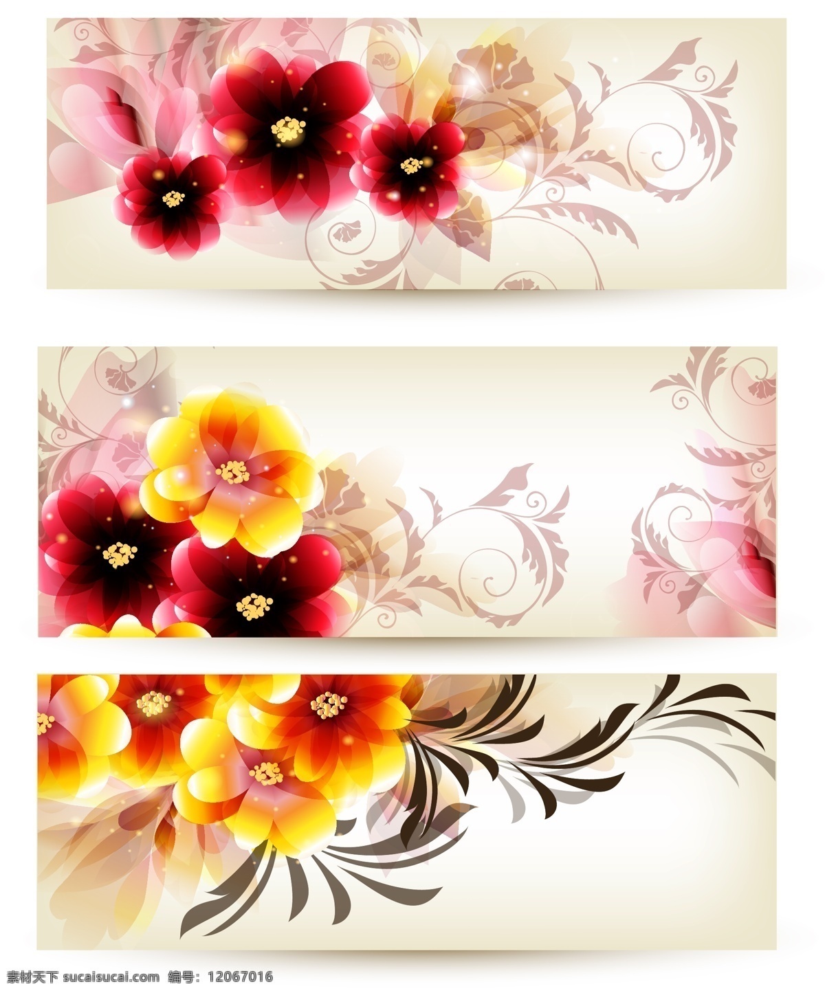 艳丽 花卉 装饰 横幅 矢量