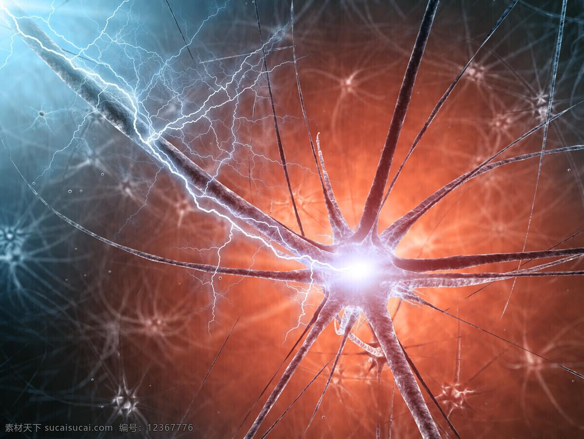 神经系统 神经器官 神经末梢 人体器官 医疗护理 现代科技