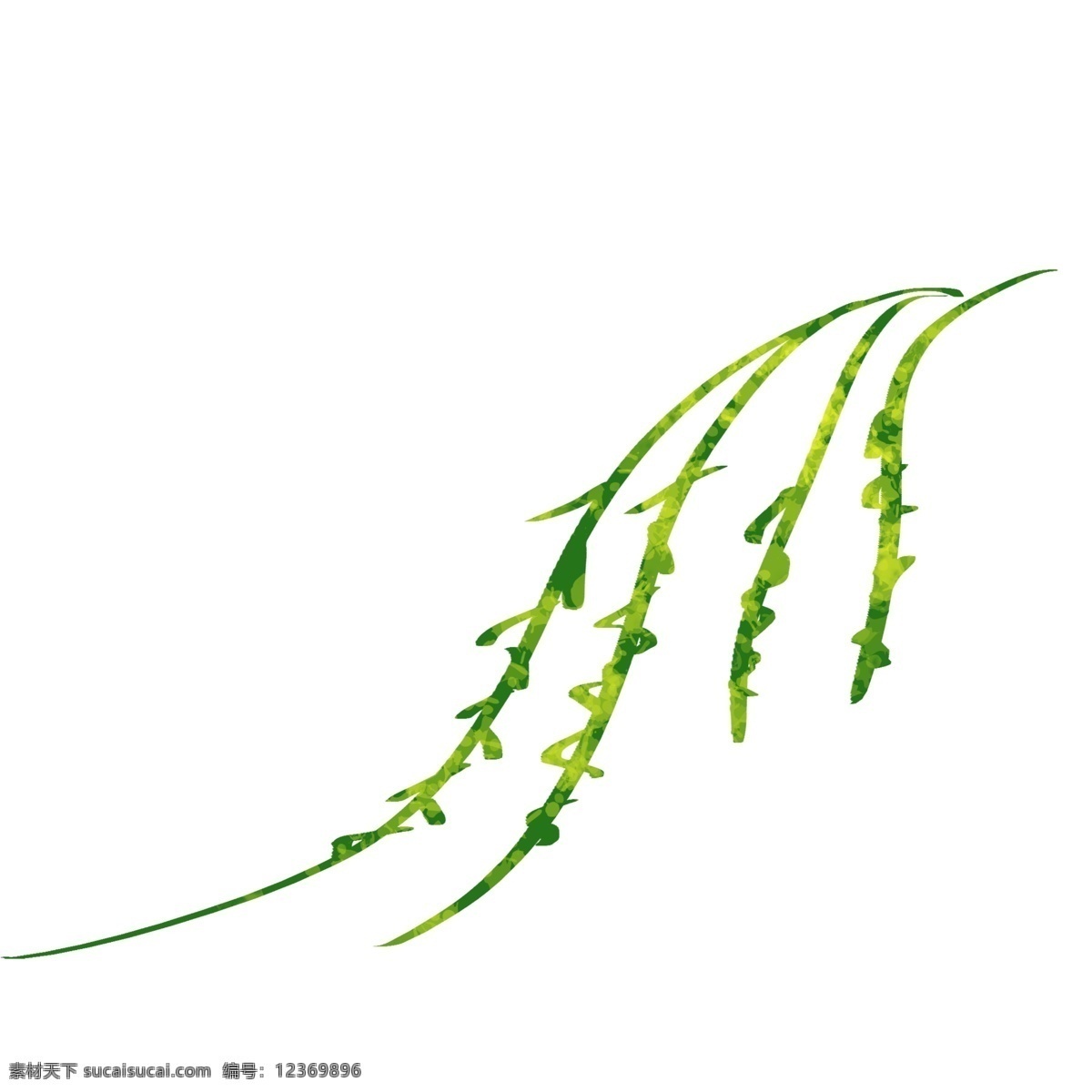 手绘 肌理 插画 植物 柳 树枝 清明节 手绘清明节 手绘扁平插画 卡通 装饰 装饰植物 图案