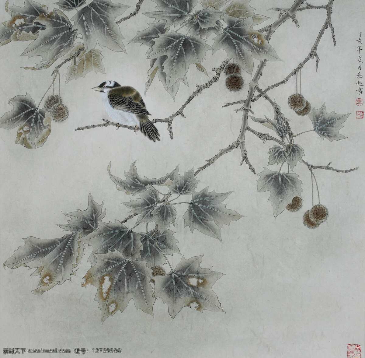 马 超 工笔 花鸟画 蓖麻 白头 图 国画 花鸟 马为超 绘画书法 文化艺术