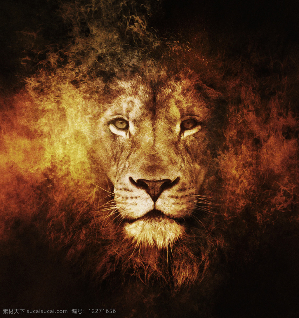 动物 王 烈火 雄狮 狮子 火焰 3d打印 野生动物 动物之王 野性美 狮子王 性感 生物世界