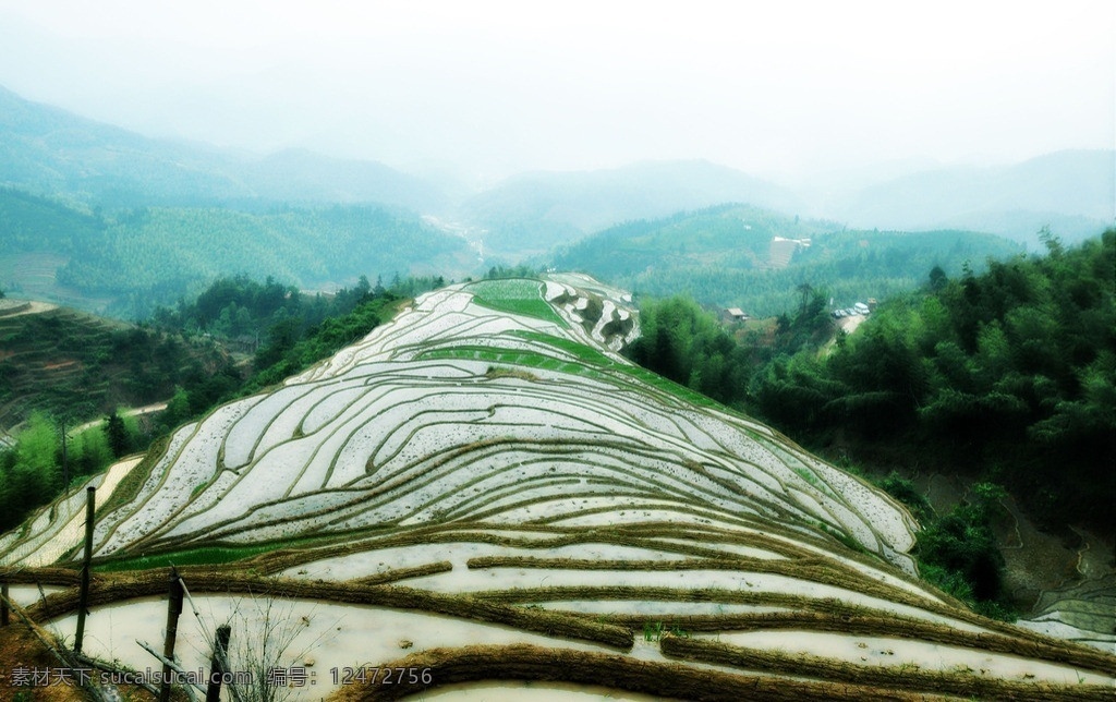 上堡梯田 阶梯 梯田 水稻田 田园风光 自然景观