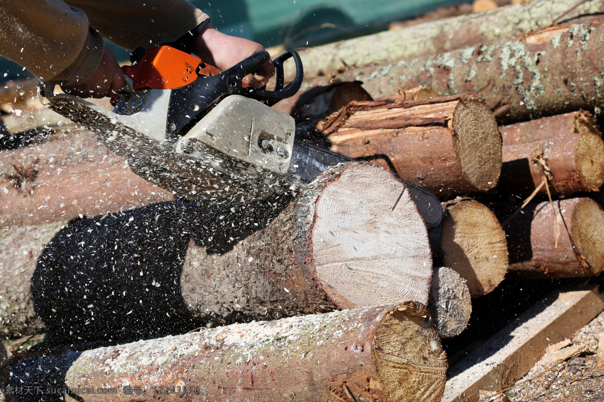 锯 堆 木头 工人 伐木 树木 木材 砍伐 木头工人 木工 电动工具 锯木工 木匠 其他类别 生活百科