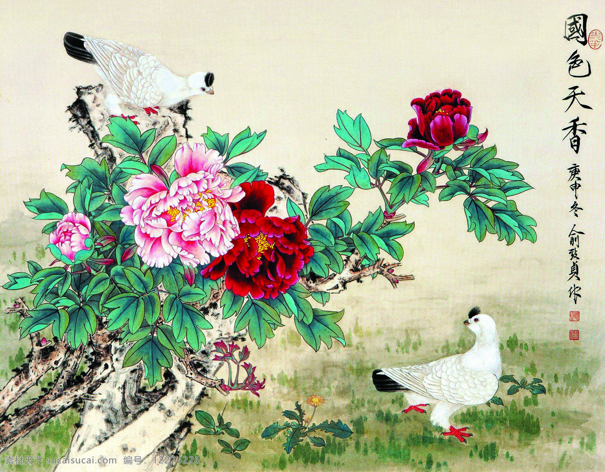 国色天香 美术 中国画 工笔画 花鸟画 牡丹花 白鸽 国画艺术 绘画书法 文化艺术