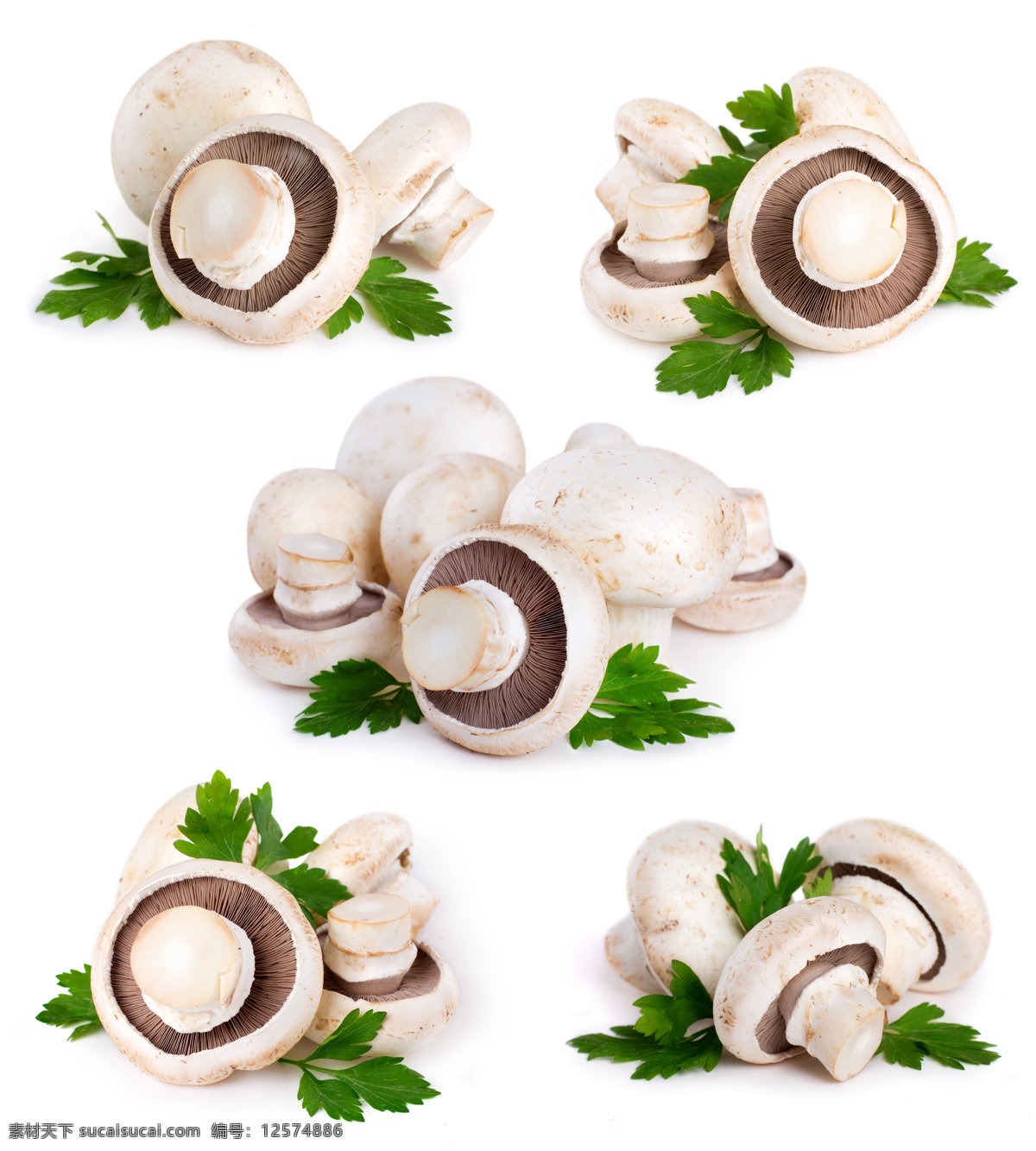 蘑菇图片素材 食物 蔬菜 新鲜 可口 美味 蘑菇 蘑菇图片 餐饮美食
